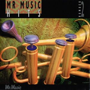 Mr Music Hits 2•93