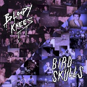 Bloody Knees / Birdskulls Split (EP)