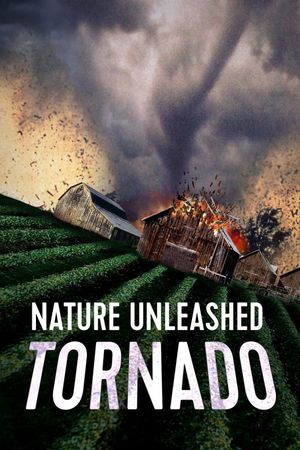 Tornado - Le talisman de l'apocalypse