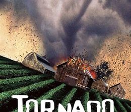 image-https://media.senscritique.com/media/000020635640/0/tornado_le_talisman_de_l_apocalypse.jpg