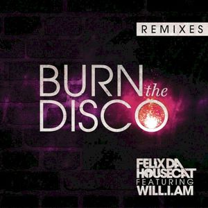 Burn the Disco (Bro Safari remix)