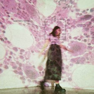 Shotgun (Single)