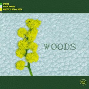 Woods (Single)