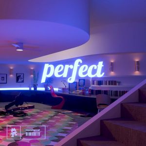 Perfect (Single)