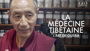 La médecine tibétaine, l'art de guérir