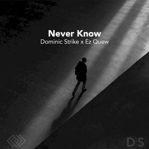 Never Know (Single)