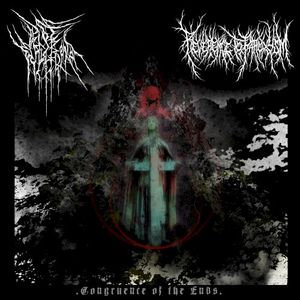 Congruence of the Ends (Single)