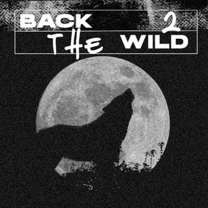 back 2 the wild (Single)