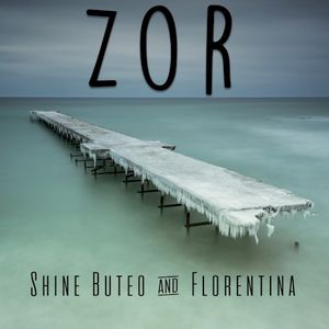 Zor (Single)