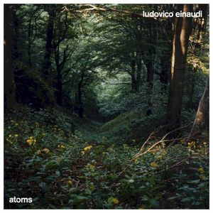 Atoms (Single)