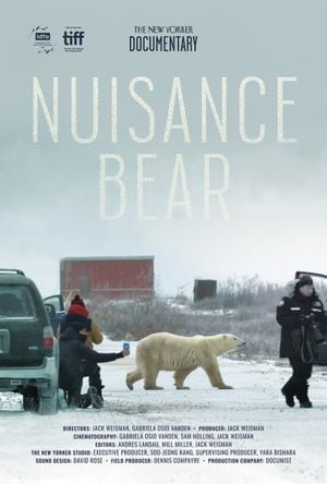 Nuisance Bear