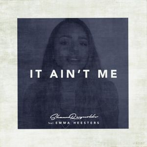 It Ain't Me (remix) (Single)