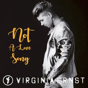 Not a Love Song (Single)