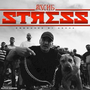 Stress (Single)