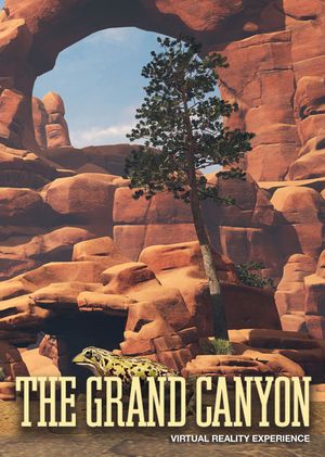 The Grand Canyon VR Experience