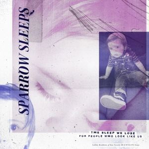 The Sleep We Lose for People Who Look Like Us: Lullaby Renditions of Beach Slang Songs