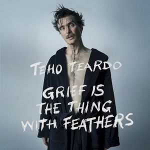 Grief Is the Thing With Feathers (OST)
