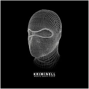 Kriminell 2.0 (Single)