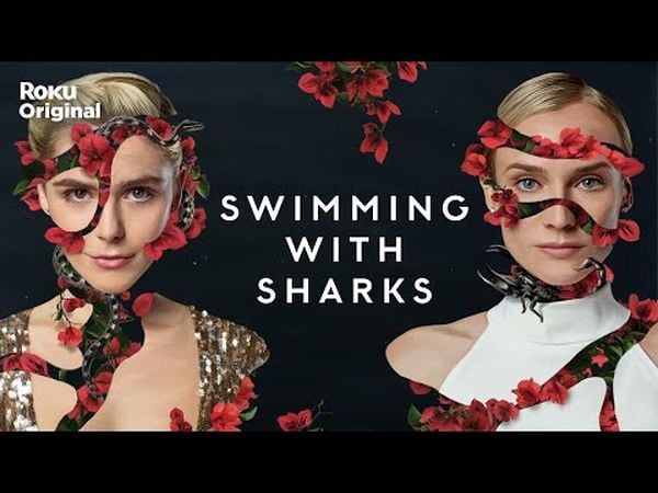 Swimming With Sharks