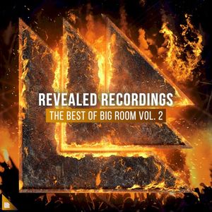 Revealed Recordings Presents the Best of Big Room Vol. 2