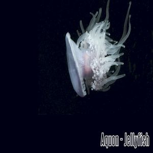 Jellyfish (Single)