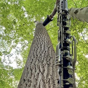 When the Trees Sing, solo Bass Clarinet in Philadelphia