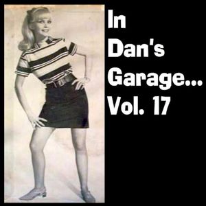 In Dan's Garage, Vol. 17
