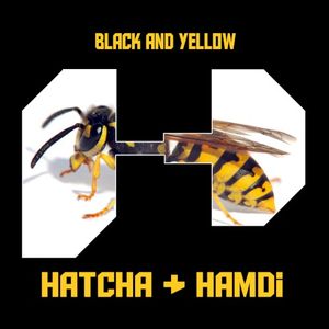 Black and Yellow (Single)