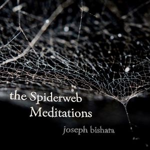 Spiderweb Meditation #3