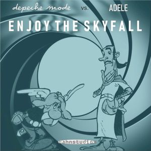 Enjoy the Skyfall (danceversion)
