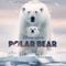 Disneynature: Polar Bear (Original Soundtrack) (OST)