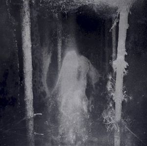 Enshrouded by the Veil of Night (Single)