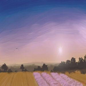 Fields (Single)