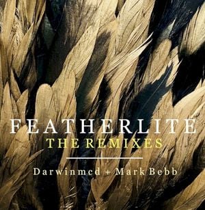 Featherlite (GRN 7" radio remix)