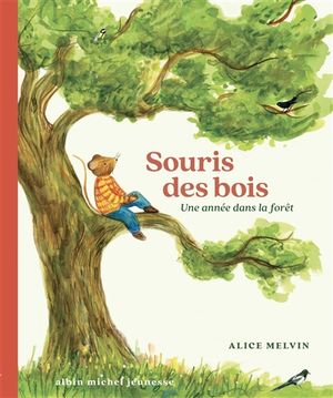 Souris des bois : une année dans la forêt