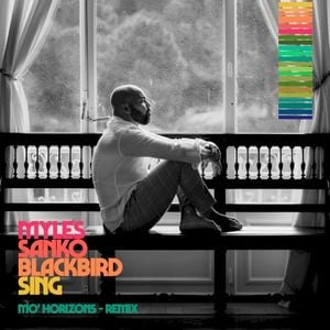 Blackbird Sing (Mo’ Horizons remix)