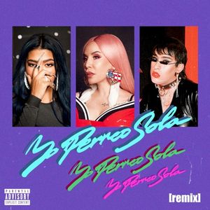 Yo perreo sola (remix)