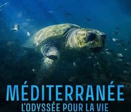 image-https://media.senscritique.com/media/000020678522/0/mediterranee_l_odyssee_pour_la_vie.jpg