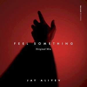 Feel Something (Single)