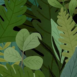 forest walk (Single)