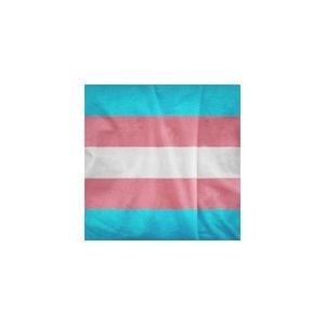 Du mußt nicht die Nacht in dir verschränken mußt sie ins ew'ge Licht versenken (Transgender Day of Remembrance 2020)