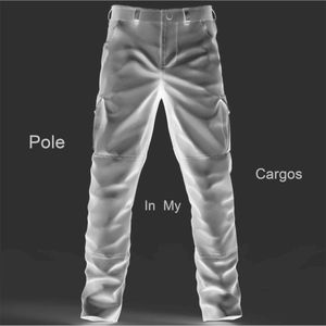 Pole in My Cargos (Single)