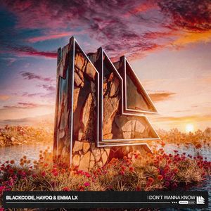 I Don’t Wanna Know (Single)