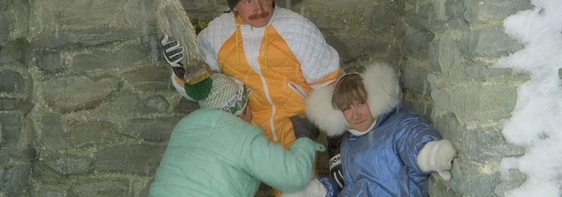 Cover Les Bronzés font du ski