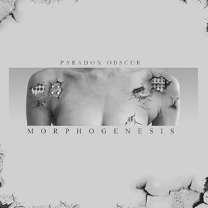 Morphogenesis