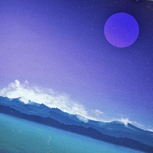 Layout (Single)