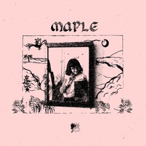 Maple