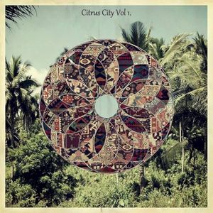 Citrus City Vol 1