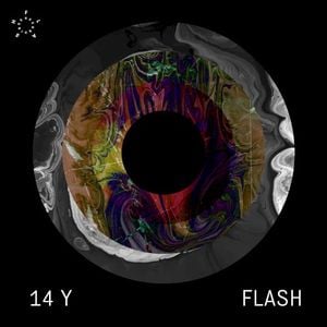 14 Years FLASH Recordings