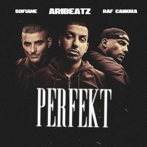 Perfekt (Single)